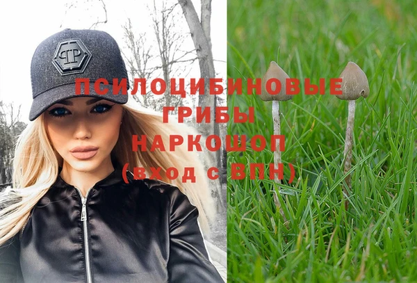 spice Абинск