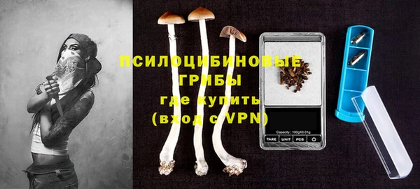 ПСИЛОЦИБИНОВЫЕ ГРИБЫ Магас