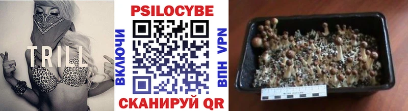 Псилоцибиновые грибы Magic Shrooms Челябинск